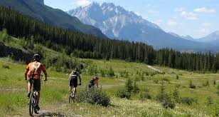 Mountain Biking