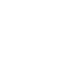 Sleigh Icon