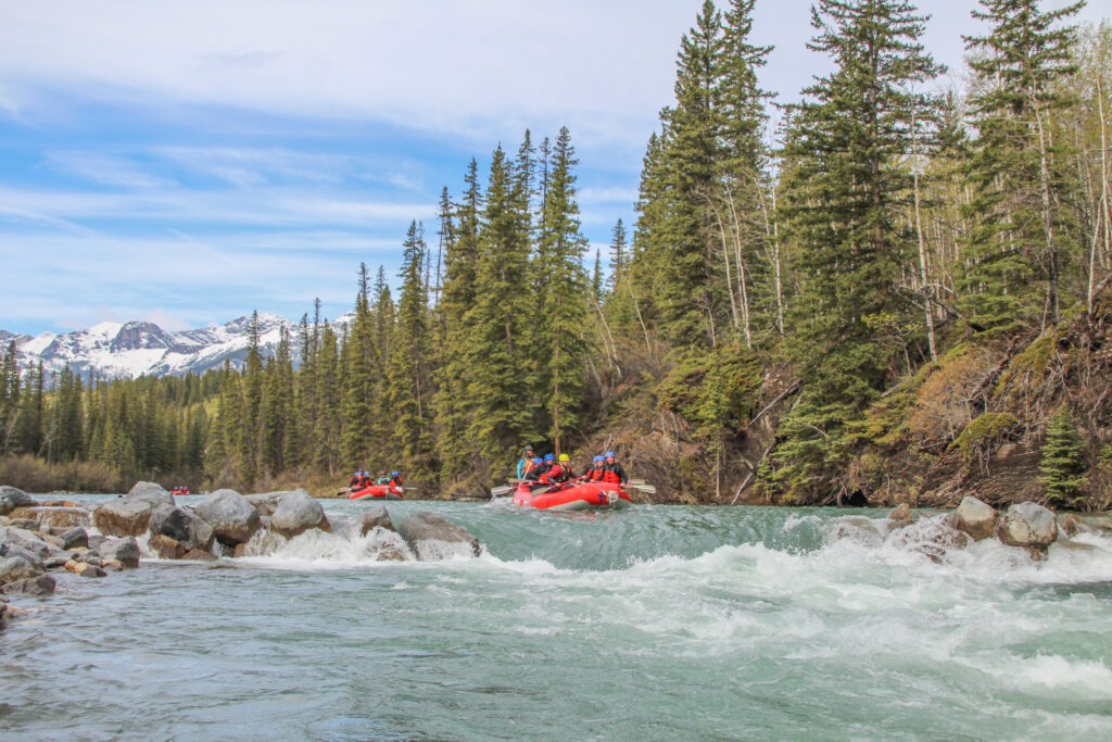 Whitewater Rafting in May on the Kananaskis River with Canadian Rockies Rafting