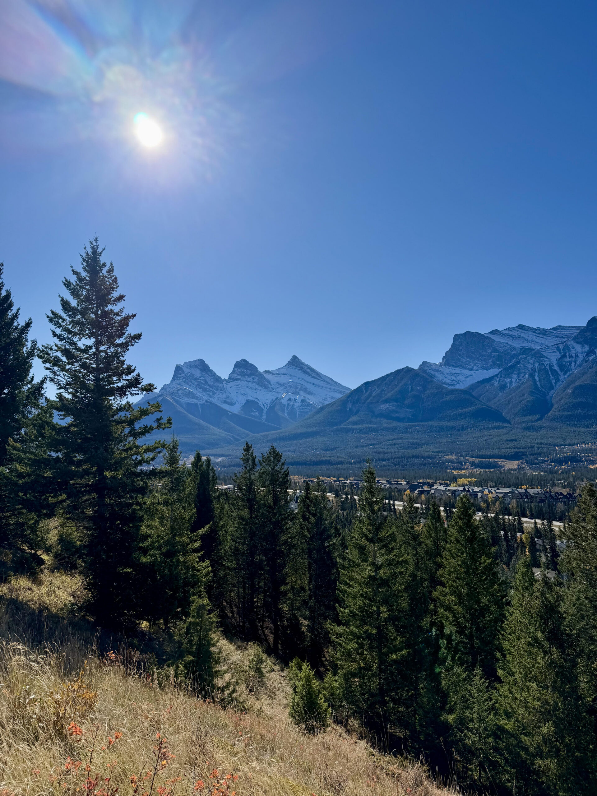Fall colours with a view of the Three Sisters in Canmore, Alberta